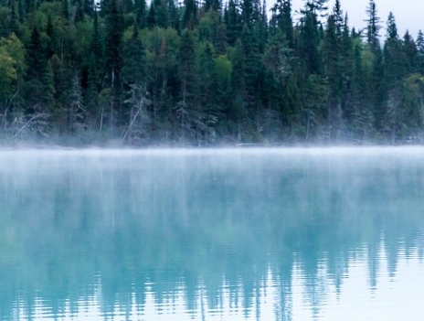 深粉象啤酒介绍