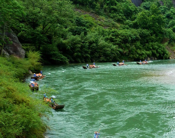 酒花浸膏和啤酒花的啤酒哪个好