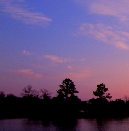 粉象生活买礼包过怎么退款