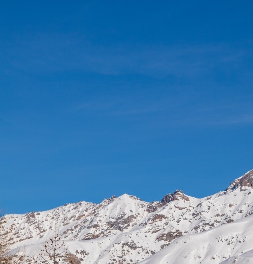 深粉象和浅粉象区别