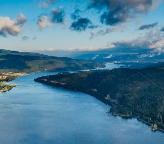 浅粉象啤酒是哪个品牌