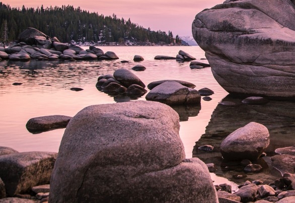 粉象生活app下载安装