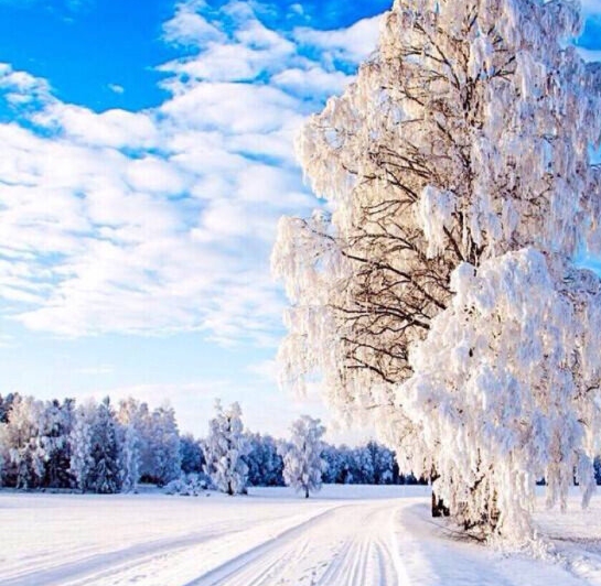 粉象啤酒多少钱一瓶
