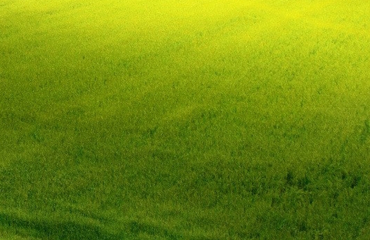 神象云账本官网