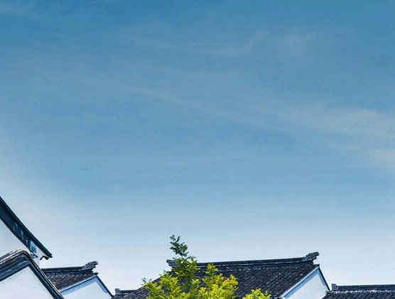 郑州 浅粉象啤酒