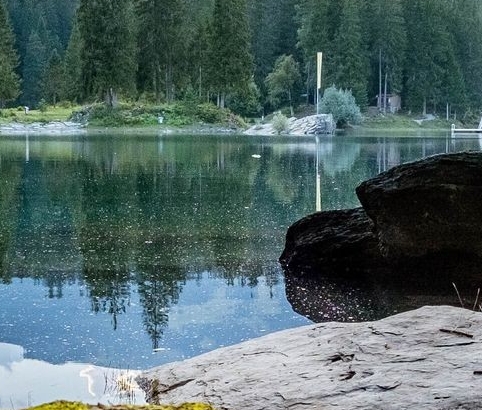 浅粉象啤酒喝醉