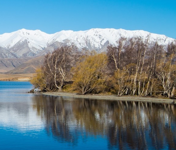 粉象生活怎么购买vip