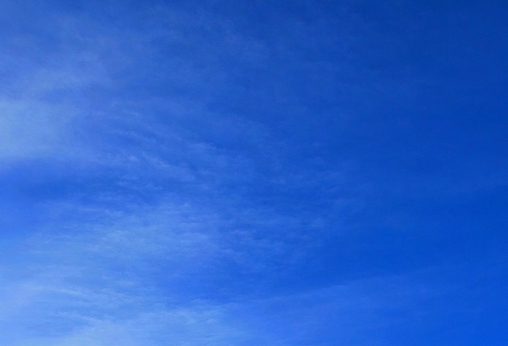 粉象生活真的能赚钱吗