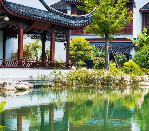 比利时浅粉象啤酒介绍