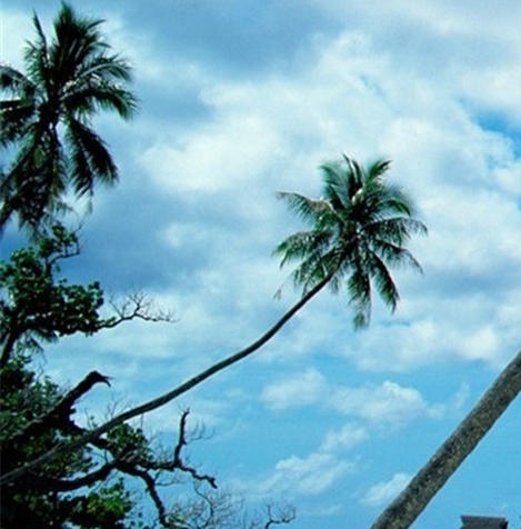 粉象生活怎么电脑操作