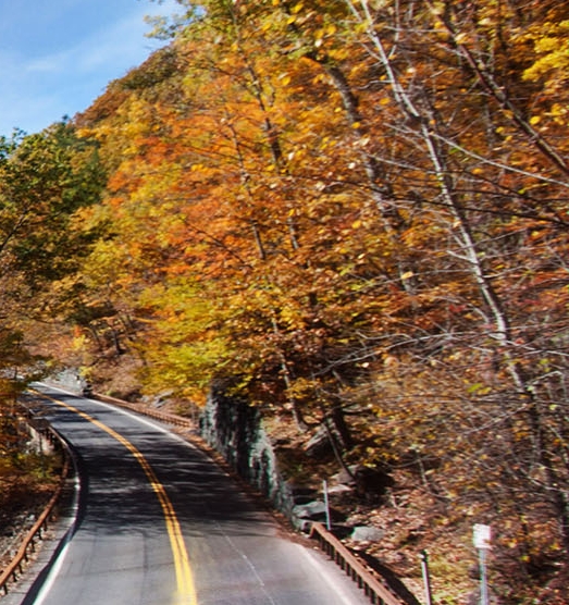 粉象生活骗局大揭秘