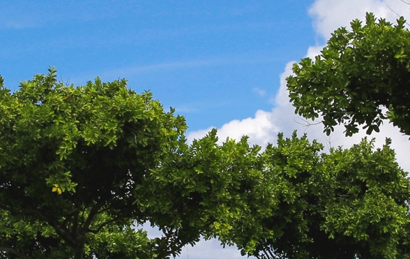 粉象生活官方邀请码163671