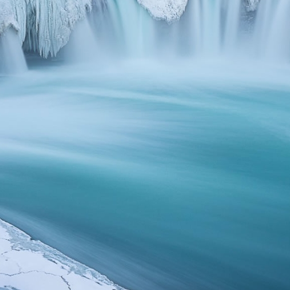 粉象生活怎么看粉丝多订单