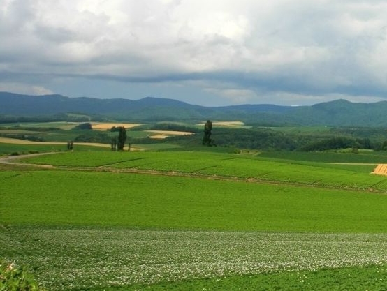 粉象生活如何赚钱