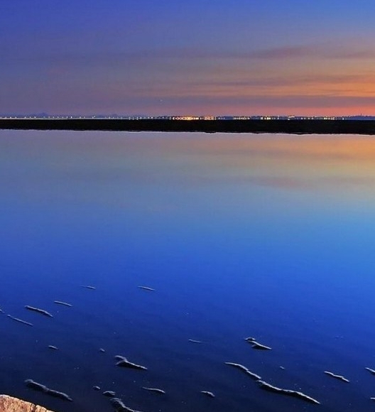 粉象邀请ID码怎么更改