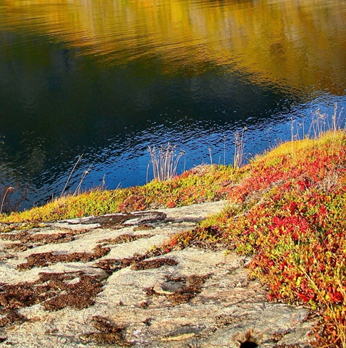粉象生活粉丝积分是什么