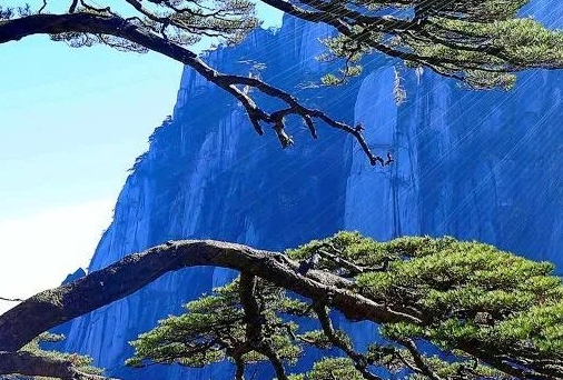 粉象为什么用邀请码