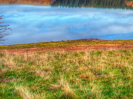 粉象vip必须要推荐