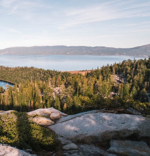 粉象生活骗局大揭秘