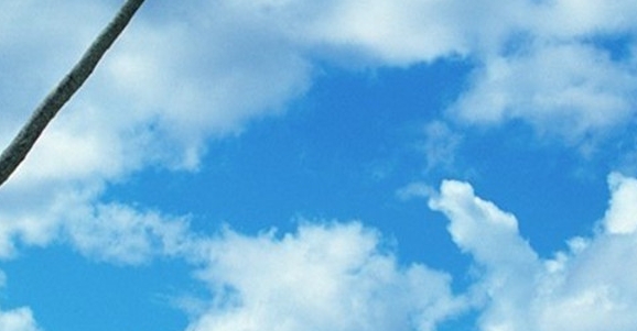 粉象生活app 官方码559252