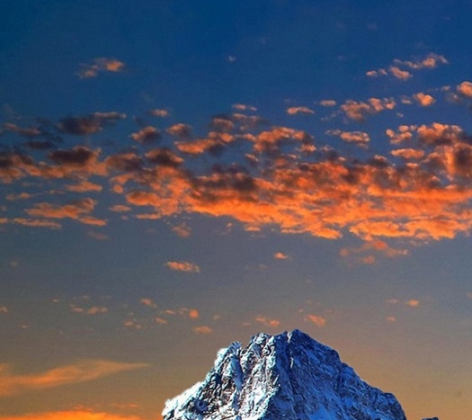 芝麻鲸选高佣联盟粉象生活