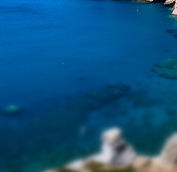 浅粉象啤酒好价