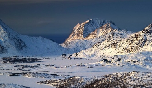 京粉和京东饭粒哪个好