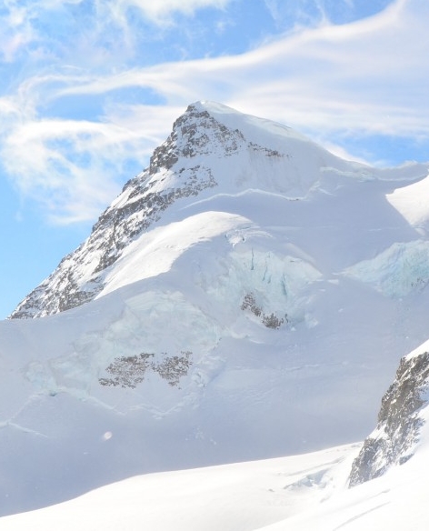 粉象生活必须要有邀请码吗