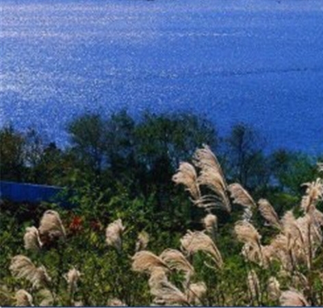 京东工业品官网