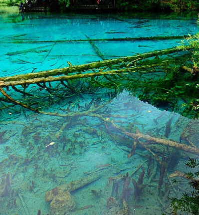 神象野山参粉一般吃几盒