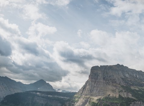 粉象生活app下载