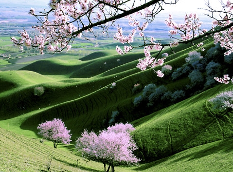 粉象生活电脑版