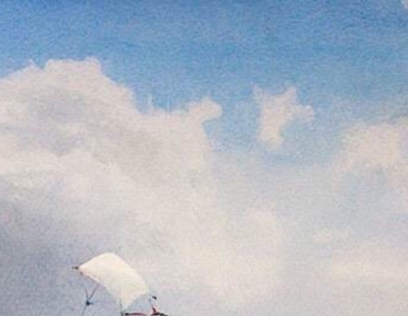 粉象生活返现拆弹失效