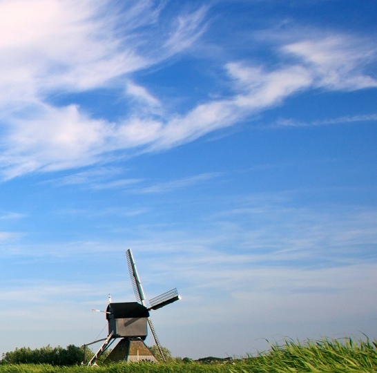 粉象生活怎么在里面搜京东商品