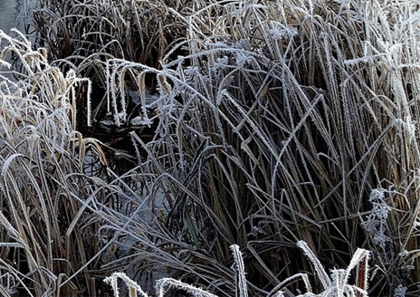有没有必要开通粉象会员