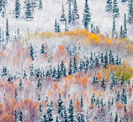 赞丽生活靠谱安全吗