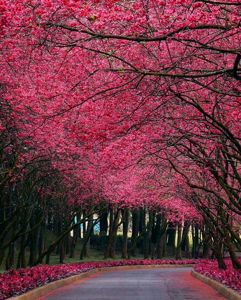 支付宝金选是什么意思