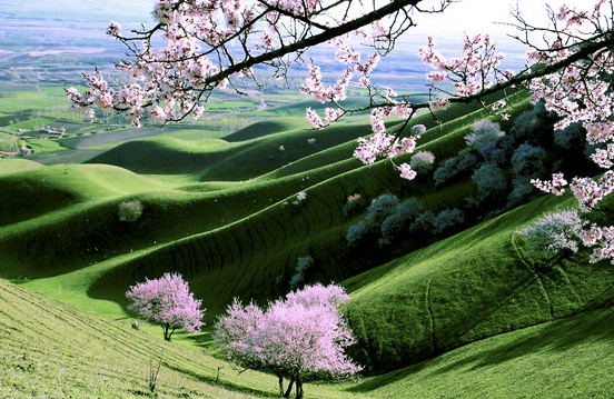 粉象生活怎么赚钱