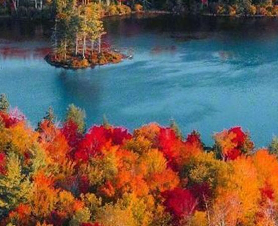 粉象生活为什么返现