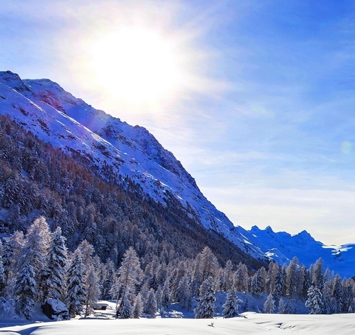 小红书怎么用电脑看
