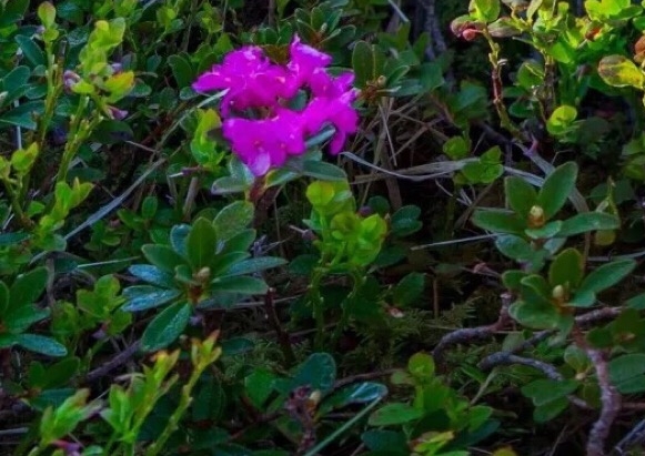 注册微信必须要手机号码吗