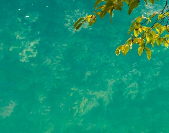 优选联盟官网入口