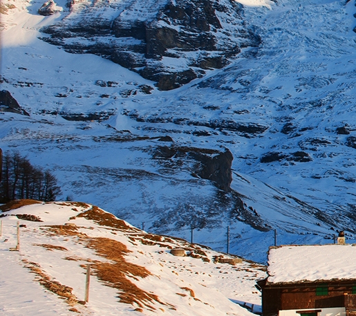 高佣联盟是什么