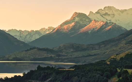 酒吧里一瓶粉象多少钱