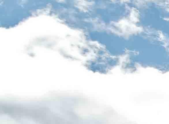 粉象生活新人奖码