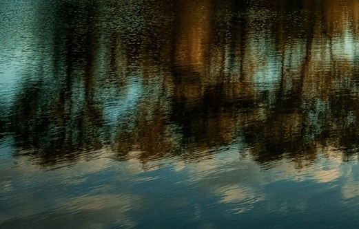 粉象生活是做什么的