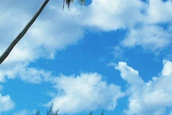 粉象为什么叫少女杀手