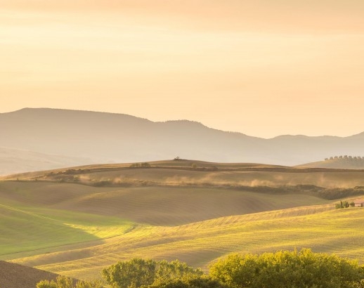 转账后知道对方是骗子怎么追回转的钱