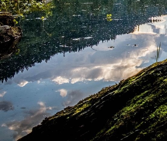 粉象生活佣金返少了 怎么办