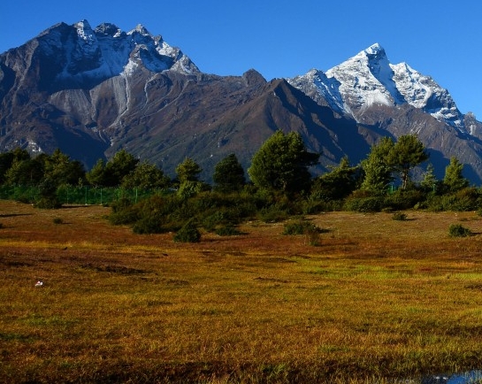 浅粉象啤酒好喝吗